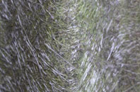 Fyfett fibreglass roof work